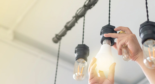 Various energy-efficient light bulbs and fixtures on display.